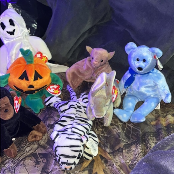 I have a full collection of TY the beanie babies collection - Picture 4 of 6